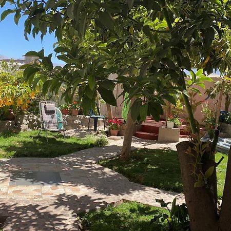 Las Palmeras Eco Hostel Кабанаконде Екстериор снимка