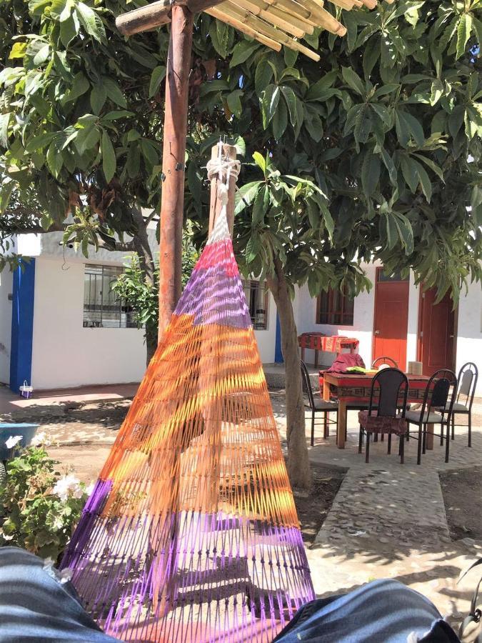 Las Palmeras Eco Hostel Кабанаконде Екстериор снимка